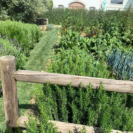 Quinta Ribeira Do Labrador - Lisbon West Wine Route *