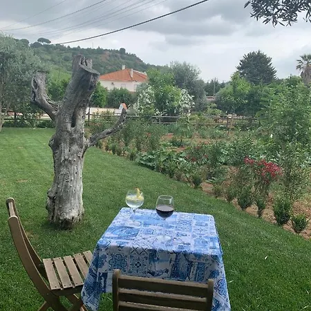 Farm stay Quinta Ribeira Do Labrador - Lisbon West Wine Route