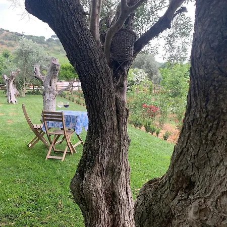 Farm stay Quinta Ribeira Do Labrador - Lisbon West Wine Route