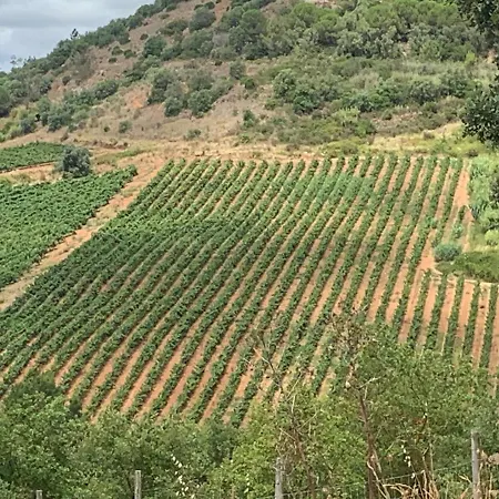 Farm stay Quinta Ribeira Do Labrador - Lisbon West Wine Route Alenquer