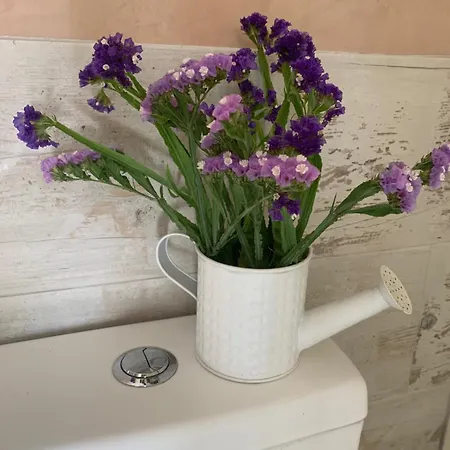 Quinta Ribeira Do Labrador - Lisbon West Wine Route Farmház *