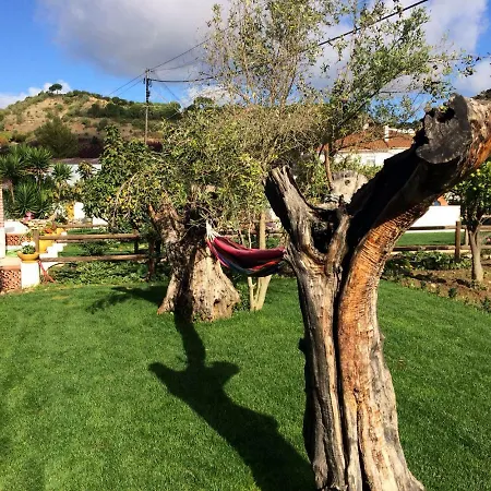 Quinta Ribeira Do Labrador - Lisbon West Wine Route Alenquer