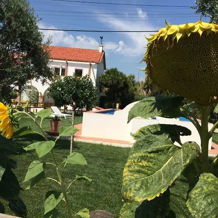 Quinta Ribeira Do Labrador - Lisbon West Wine Route * 阿伦克尔