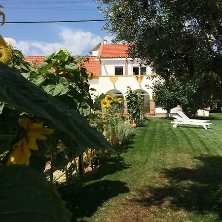 Quinta Ribeira Do Labrador - Lisbon West Wine Route * 阿伦克尔