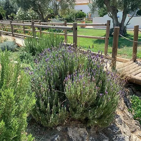 Quinta Ribeira Do Labrador - Lisbon West Wine Route 阿伦克尔