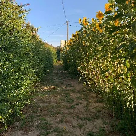 Quinta Ribeira Do Labrador - Lisbon West Wine Route 农家乐 阿伦克尔
