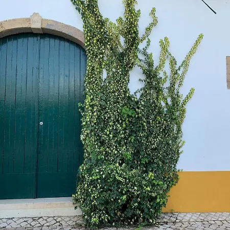 Quinta Ribeira Do Labrador - Lisbon West Wine Route Farm stay *