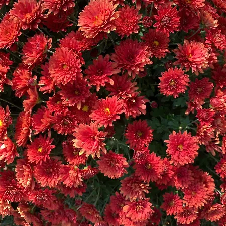 Quinta Ribeira Do Labrador - Lisbon West Wine Route