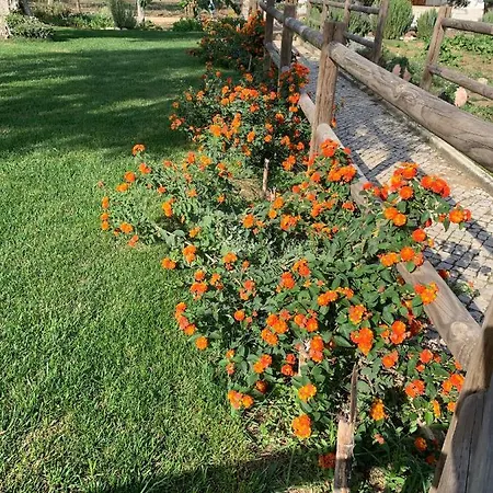 Quinta Ribeira Do Labrador - Lisbon West Wine Route Farmház