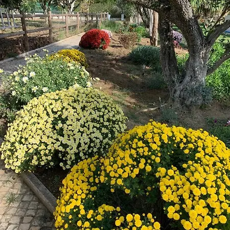 Quinta Ribeira Do Labrador - Lisbon West Wine Route 阿伦克尔