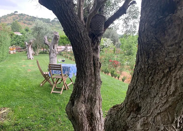 مزرعة للإقامة Quinta Ribeira Do Labrador - Lisbon West Wine Route