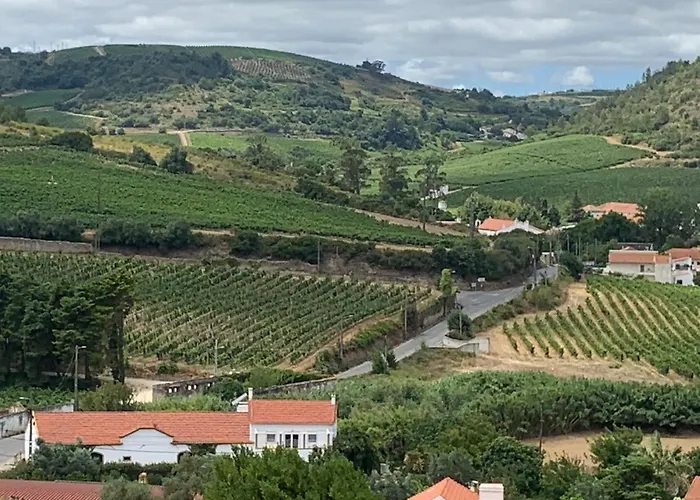 Quinta Ribeira Do Labrador - Lisbon West Wine Route مزرعة للإقامة *