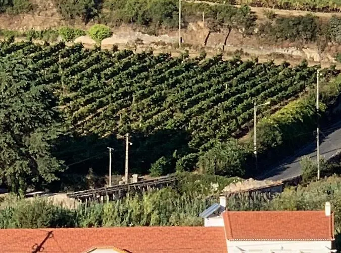 Quinta Ribeira Do Labrador - Lisbon West Wine Route Gospodarstwo agroturystyczne *