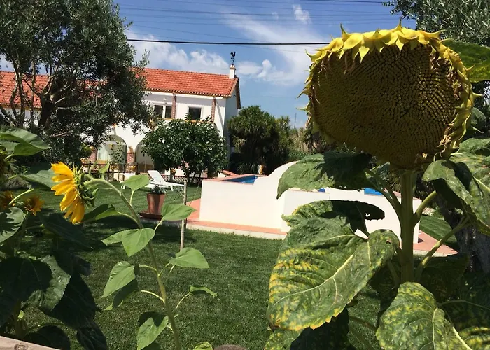 Quinta Ribeira Do Labrador - Lisbon West Wine Route * ألينكوير