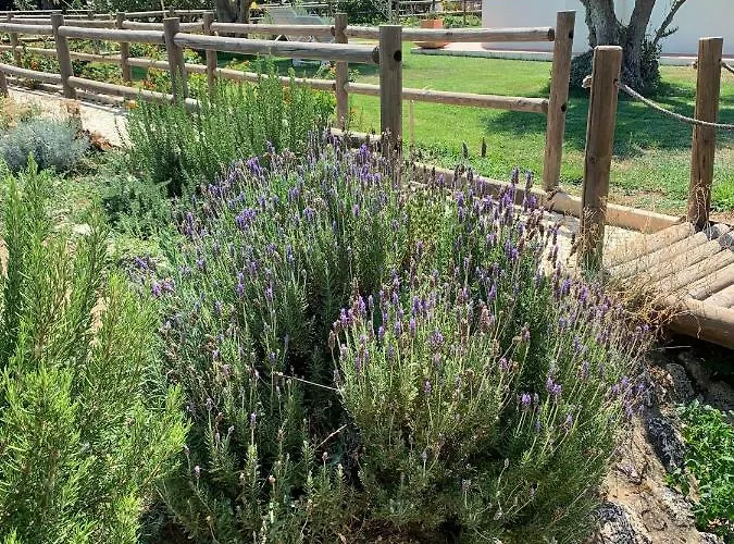 Quinta Ribeira Do Labrador - Lisbon West Wine Route ألينكوير