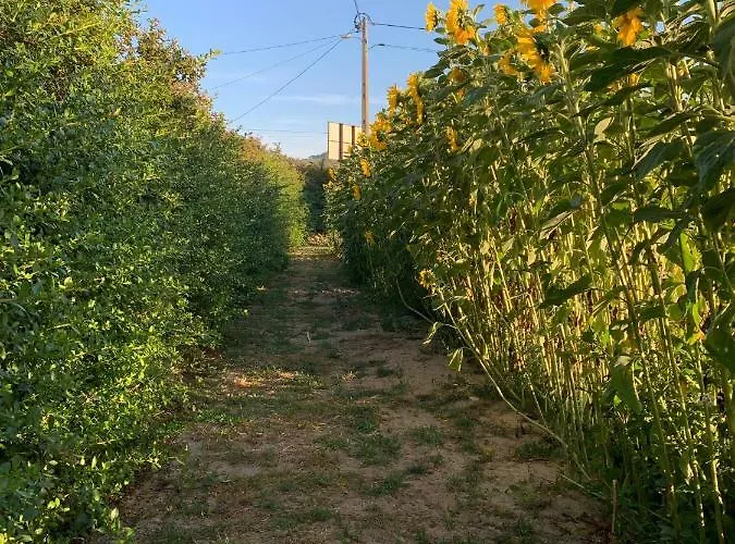 Quinta Ribeira Do Labrador - Lisbon West Wine Route Κατάλυμα σε φάρμα Alenquer