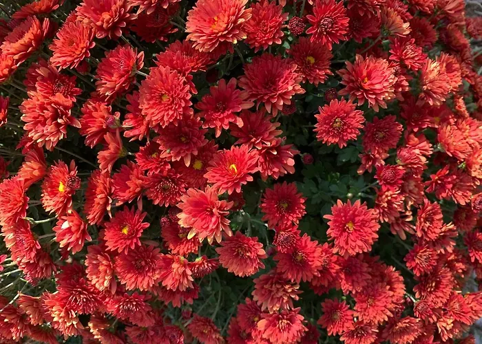 Quinta Ribeira Do Labrador - Lisbon West Wine Route