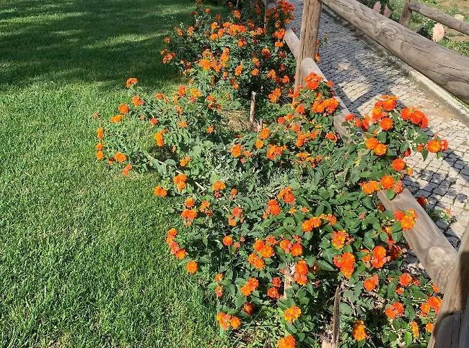 Quinta Ribeira Do Labrador - Lisbon West Wine Route مزرعة للإقامة